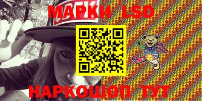 шишки Кандалакша