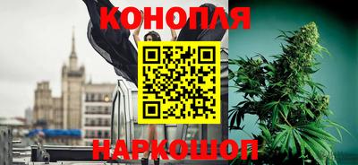 круглые Камышлов