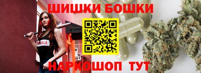 шишки Кандалакша