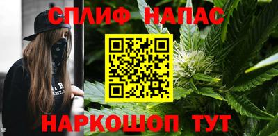 шишки Кандалакша