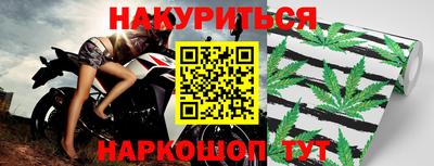 шишки Кандалакша